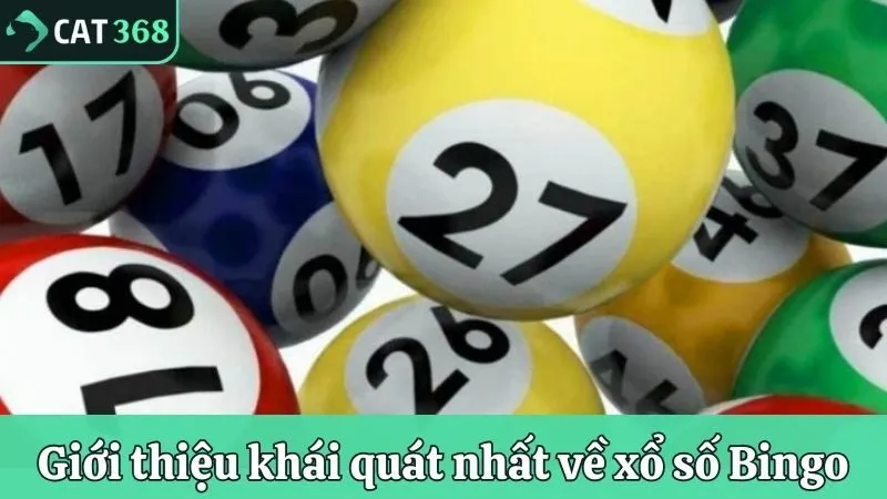 Giới thiệu khái quát nhất về xổ số Bingo 