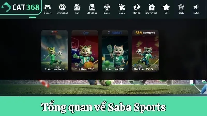 Tổng quan về Saba Sports - Thế giới cá cược thể thao hàng đầu 